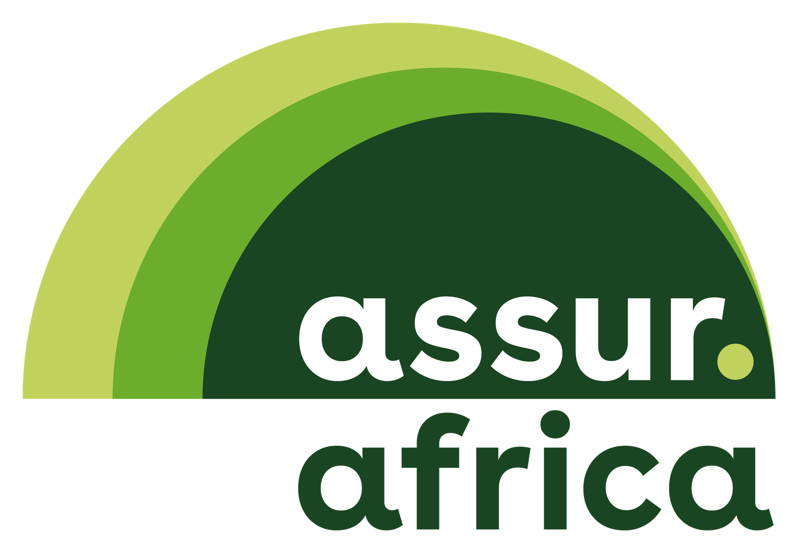 assur.africa